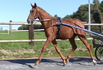 Eliot Cadé