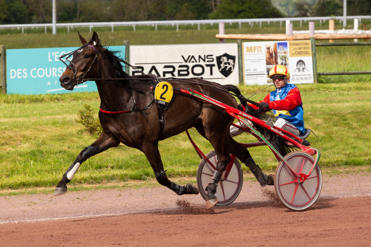 Joselito du Vivier