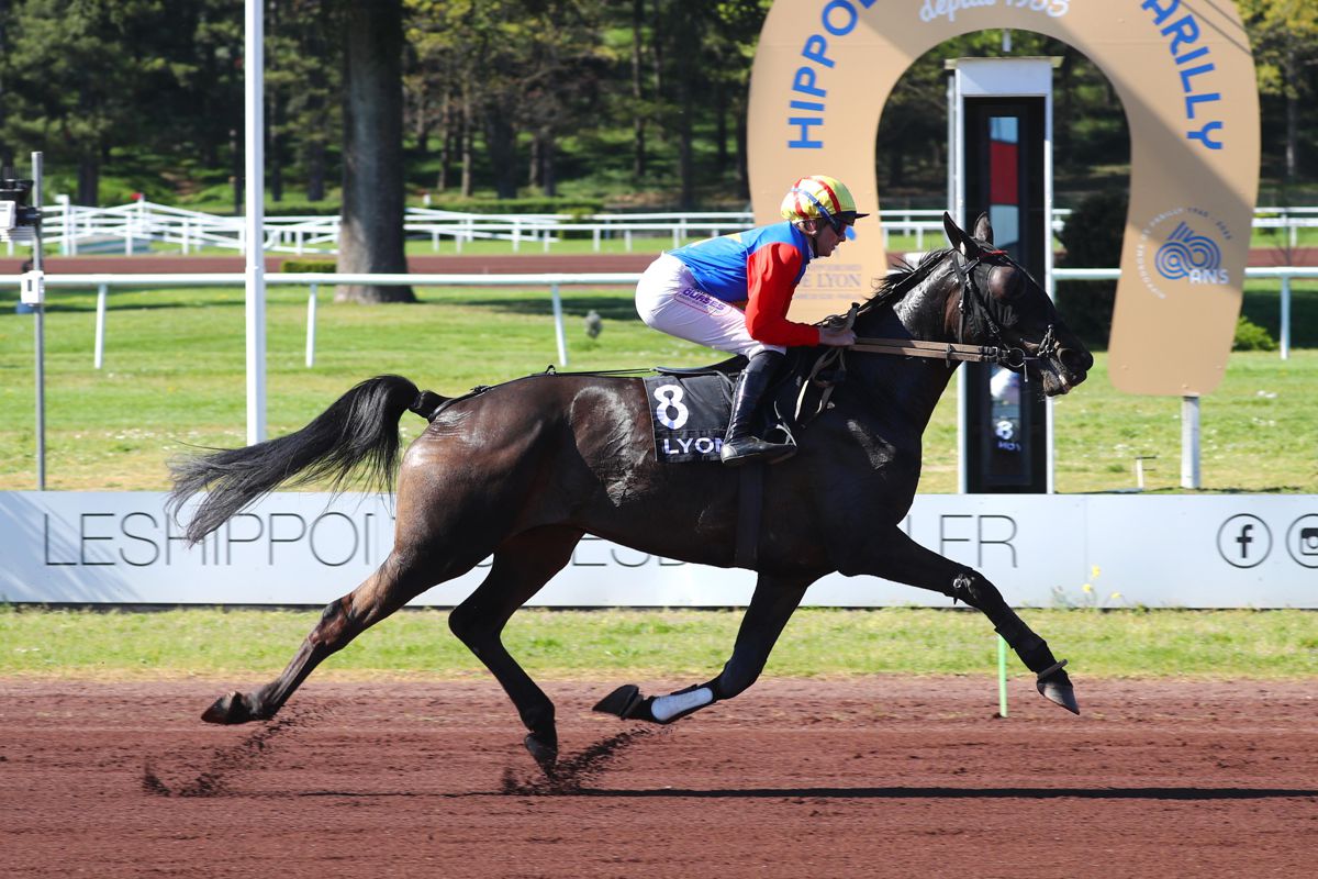 joselito-du-vivier